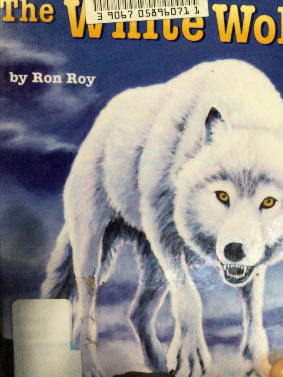 The white wolf