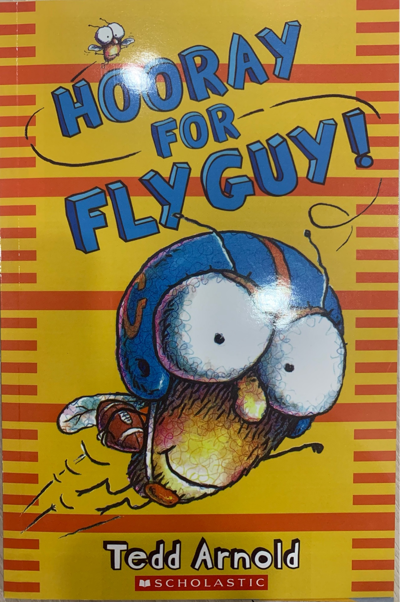 Hooray For Fly Guy!