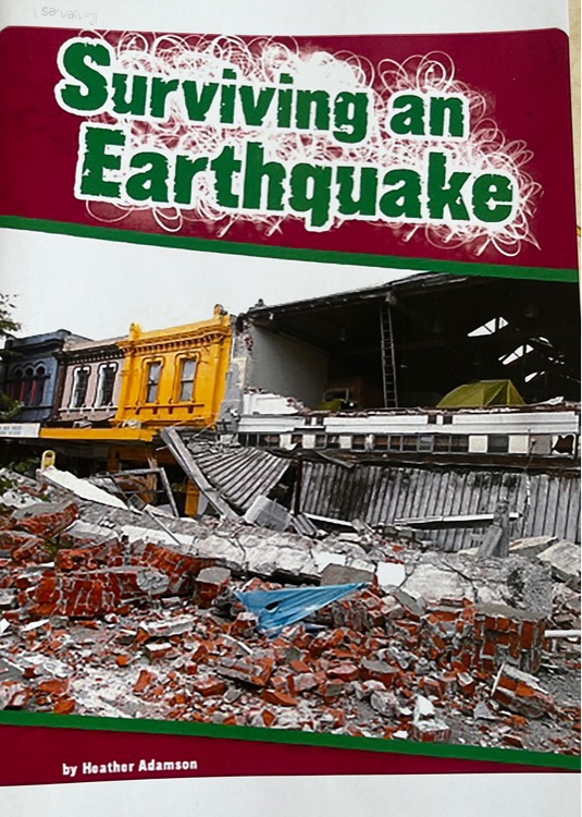 Surviring an earthquake