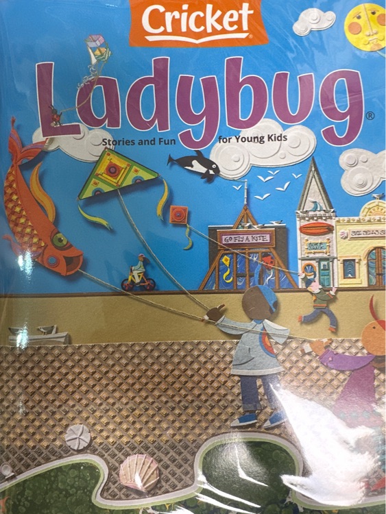 ladybug2023.3