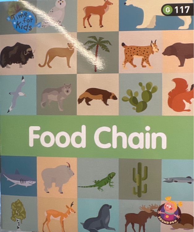 Food chain