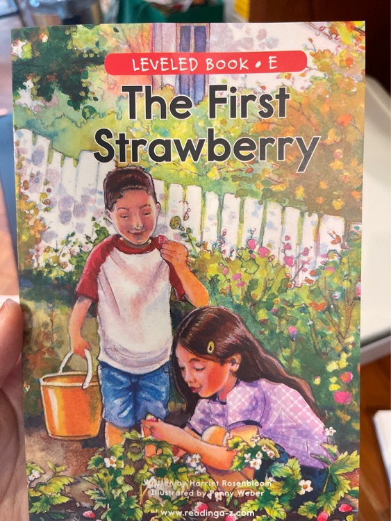 The first strawberry