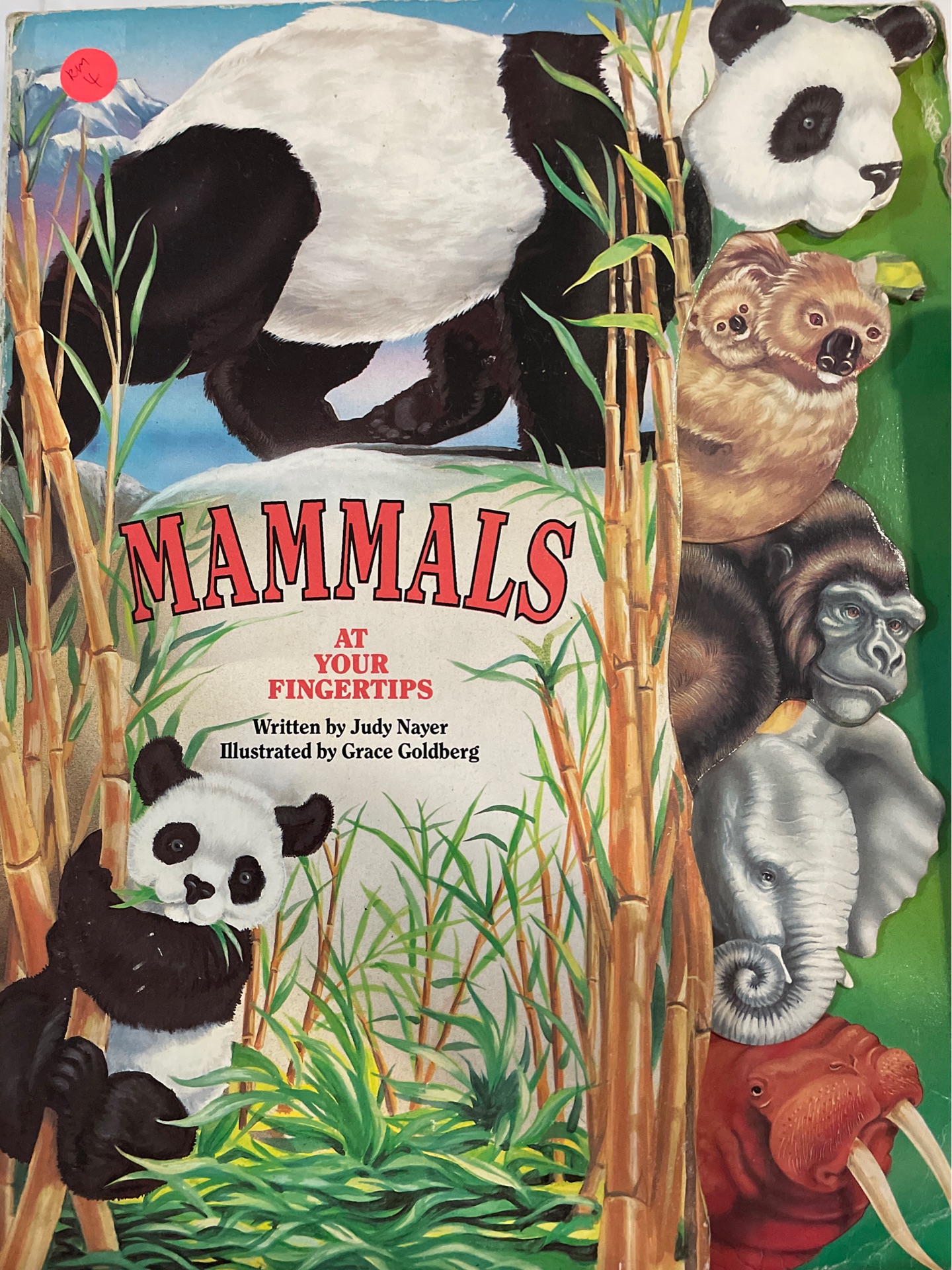 Mammals