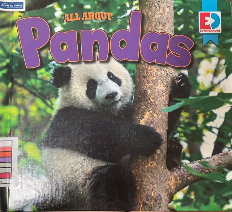 All about pandas