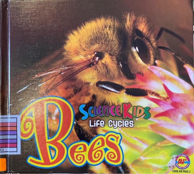 Bees(science kids life cycles)