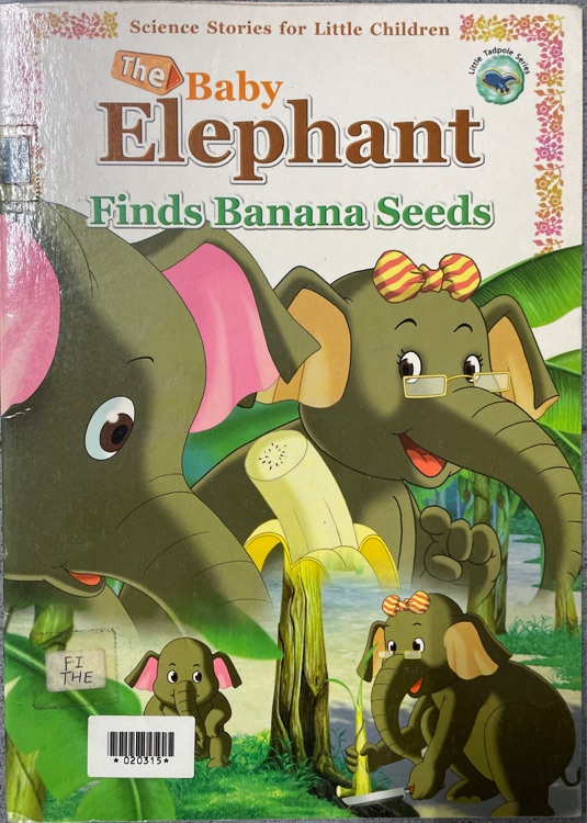 The baby elephant finds banana seeds