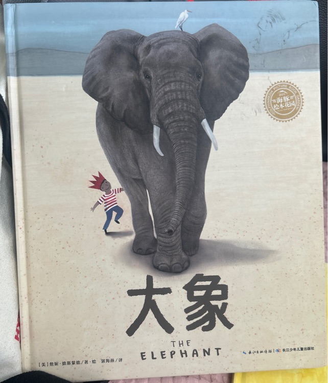 大象