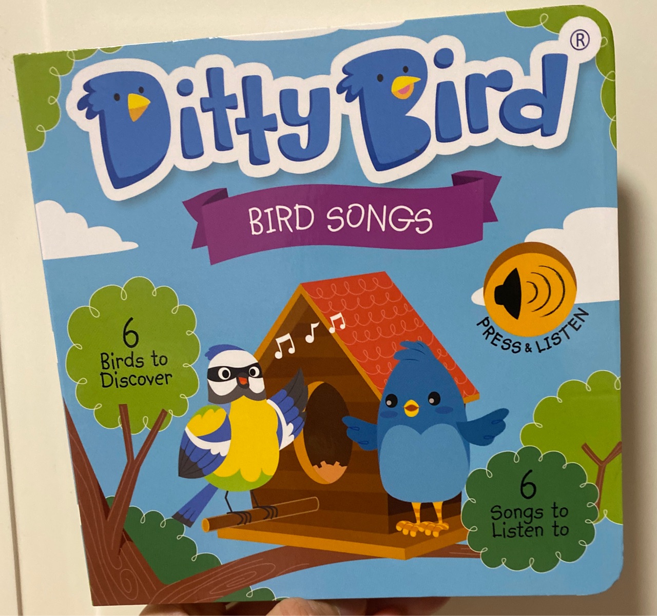 Ditty Bird Bird Songs