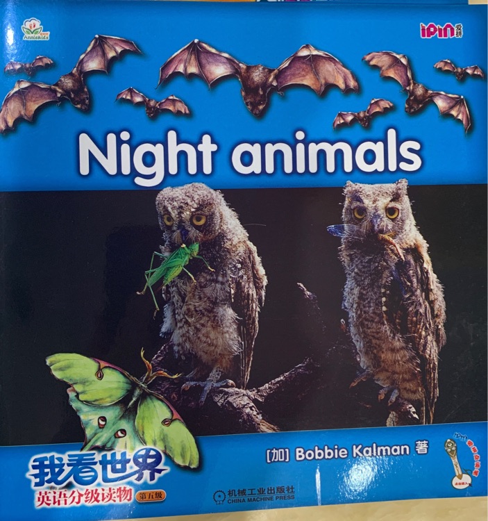 Night animals