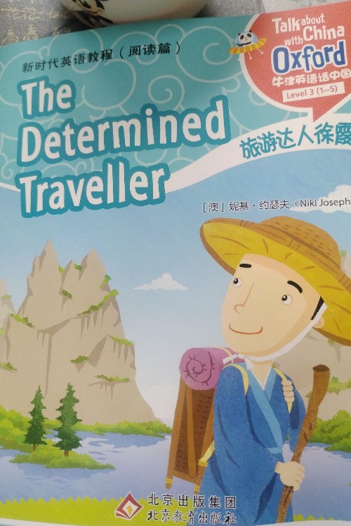 The determined traveller