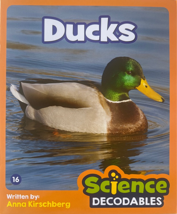 Ducks