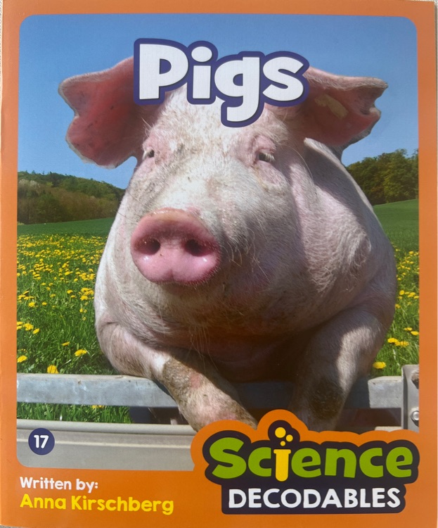 Pigs