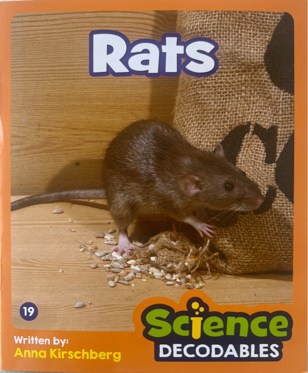 Rats