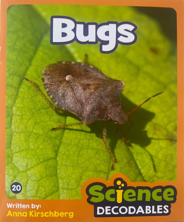 Bugs