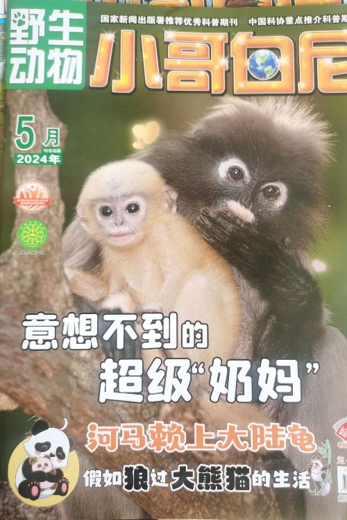 小哥白尼野生動物2024.5