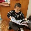 宇仔