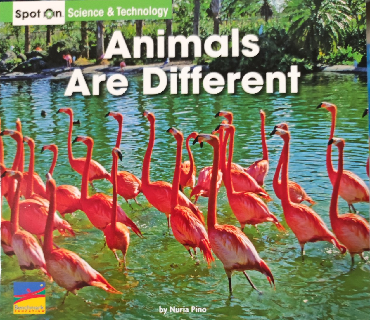 animals are different