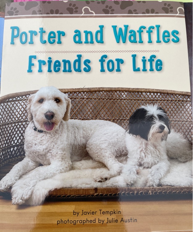 Porter and waffles friends for life