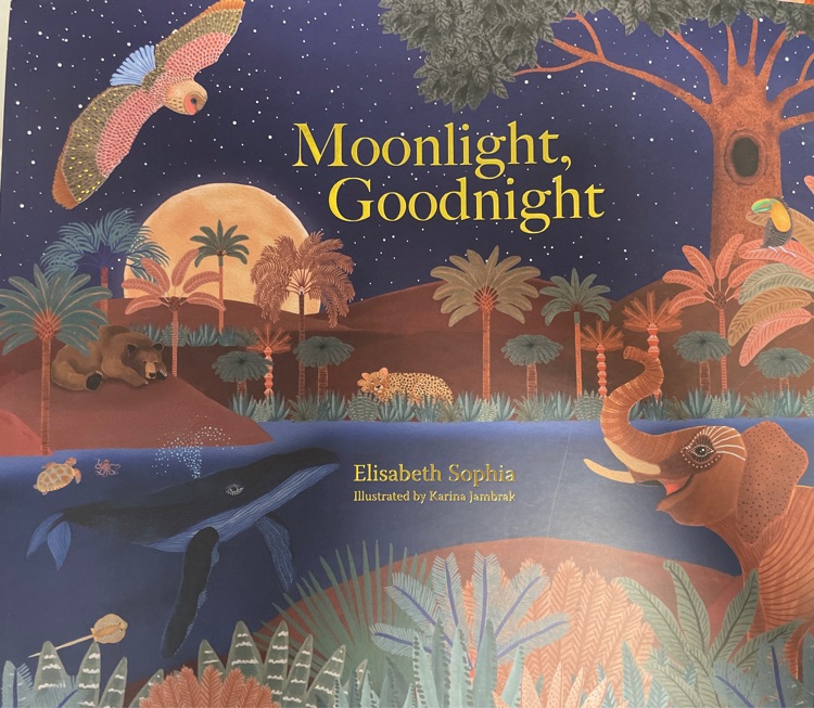 Moonlight Goodnight