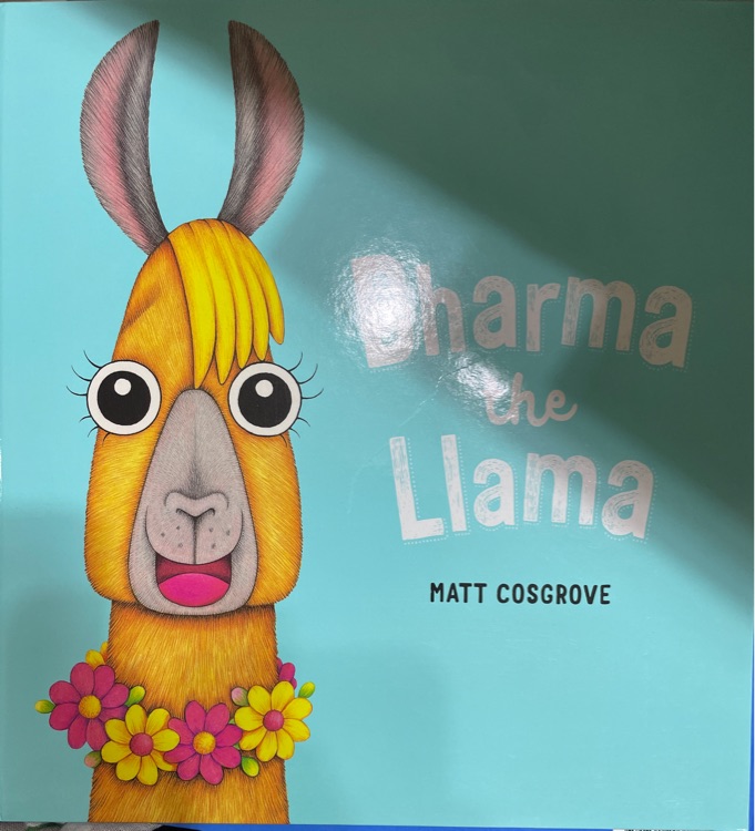 Dharma the Llama