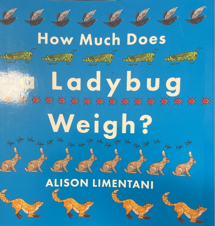 How much does ladybug weigh?