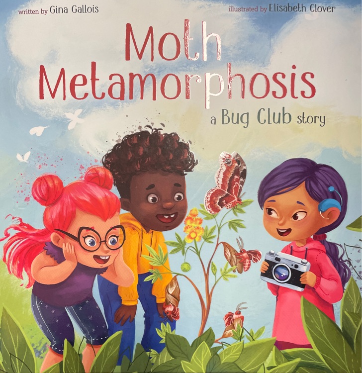 Moth metamorphosis a bug club story