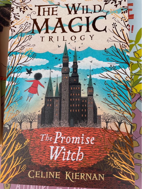 The wild magic trilogy the promise witch