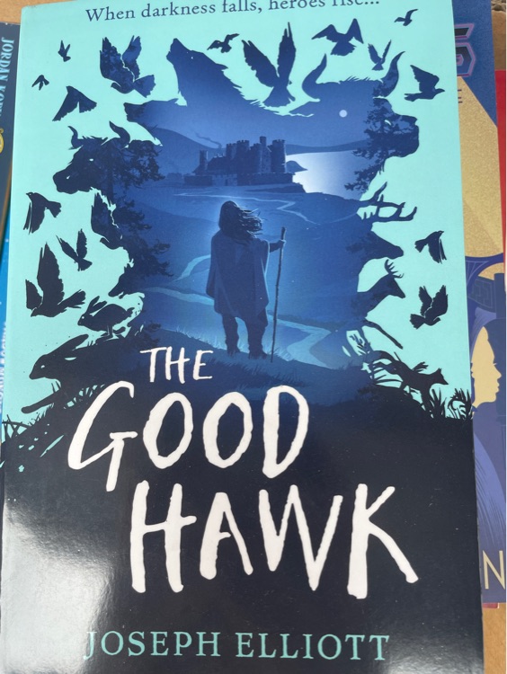 The good hawk