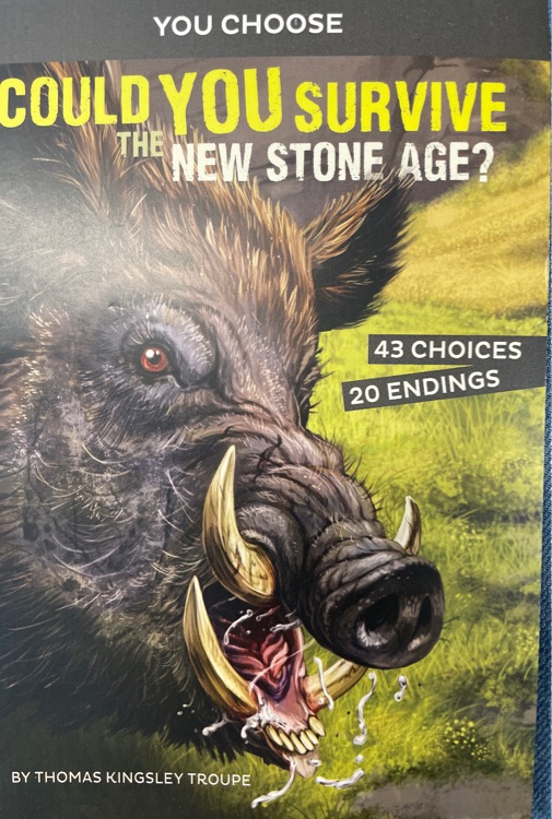 You choose can you survive the new stone age