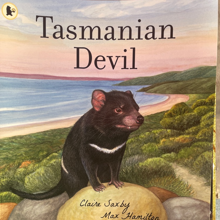 Tasmanian devil