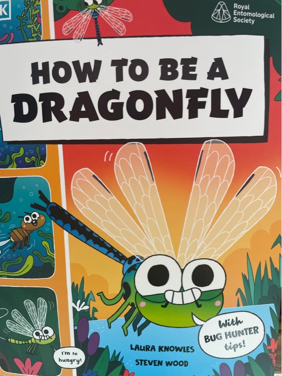 How to be a dragonfly
