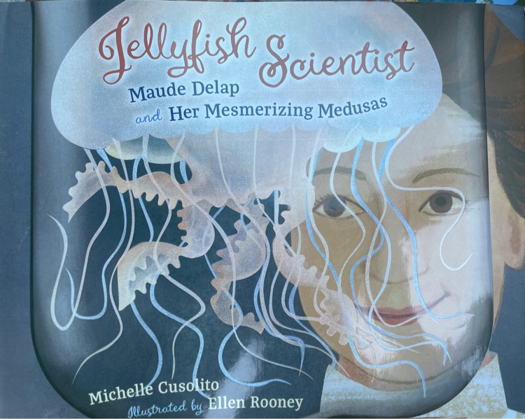 Jellyfish scientist maude delap and her mesmerizing medusas