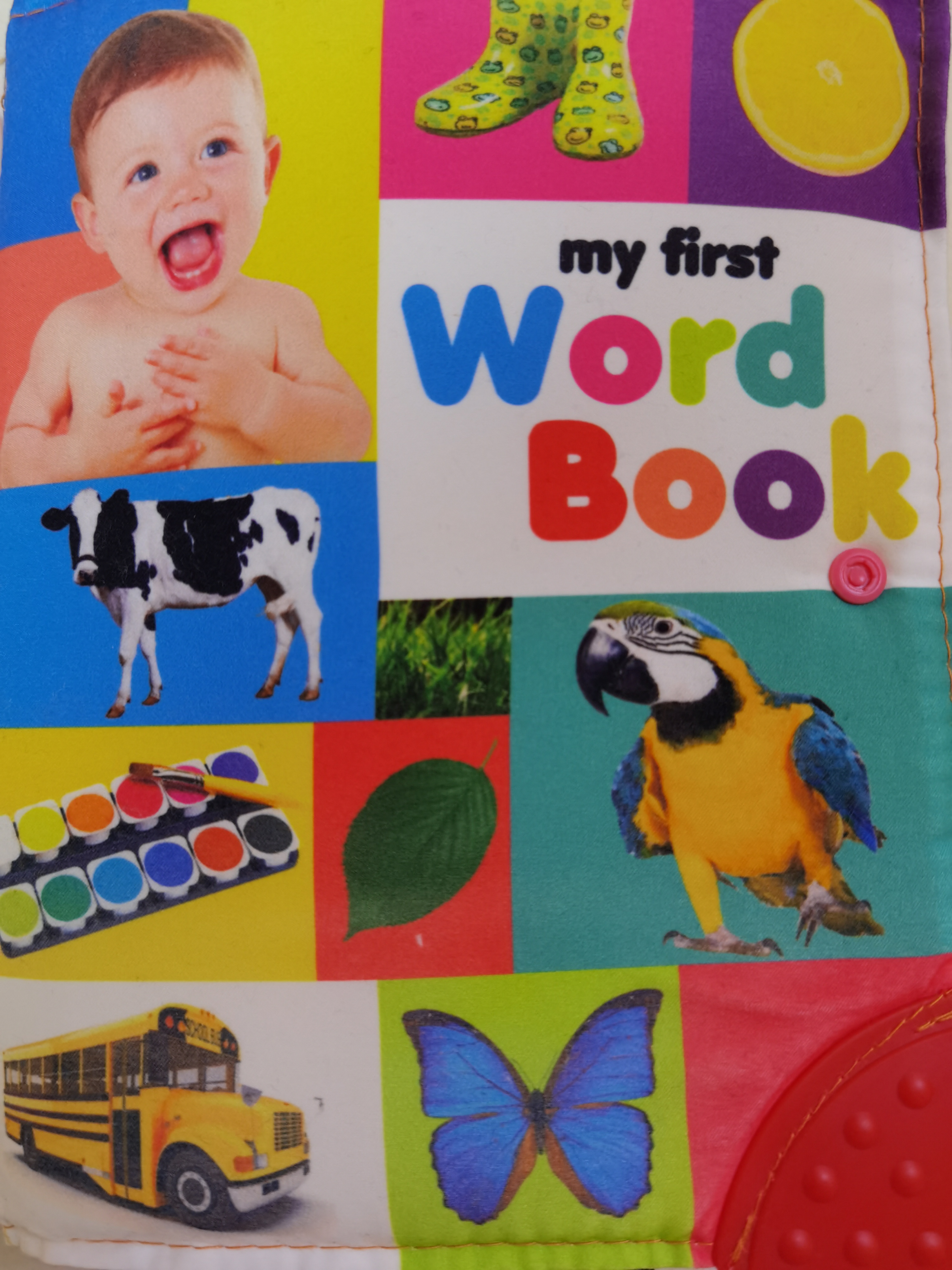 My first word book