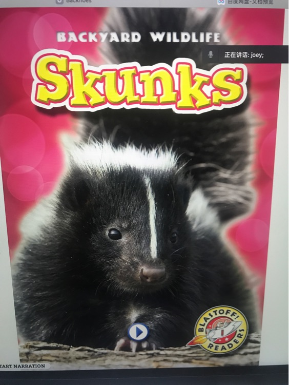 Skunks