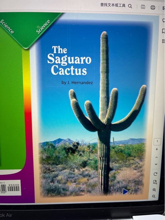 the saguaro cactus