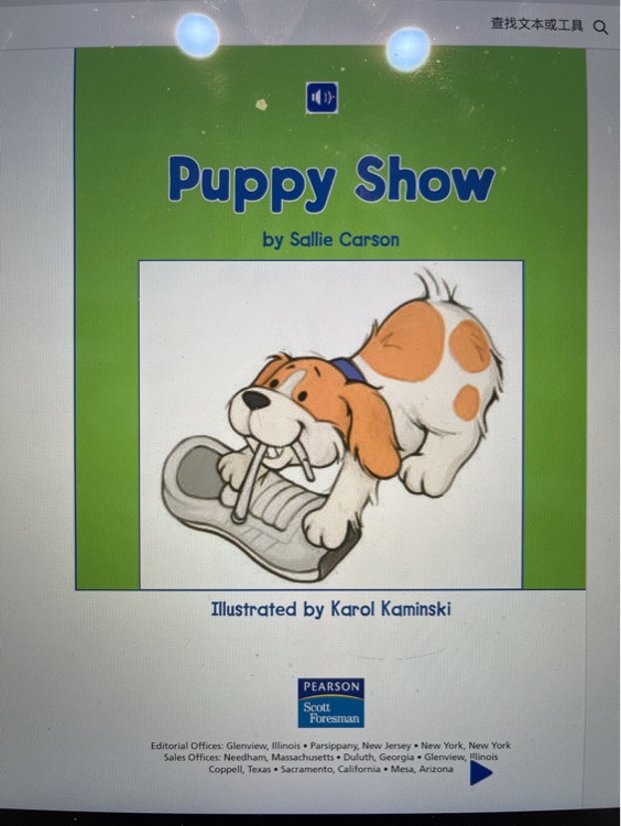 Puppy show