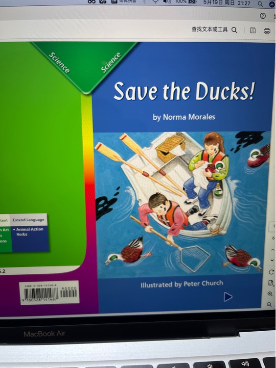 Save the ducks