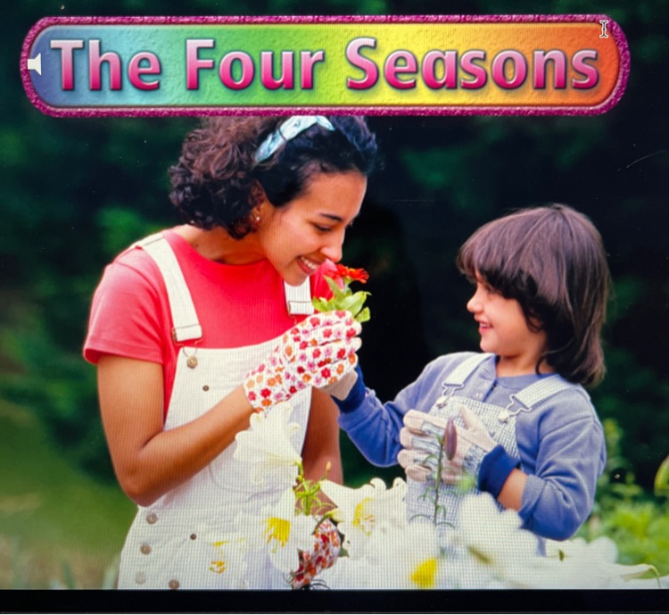 the four seasons