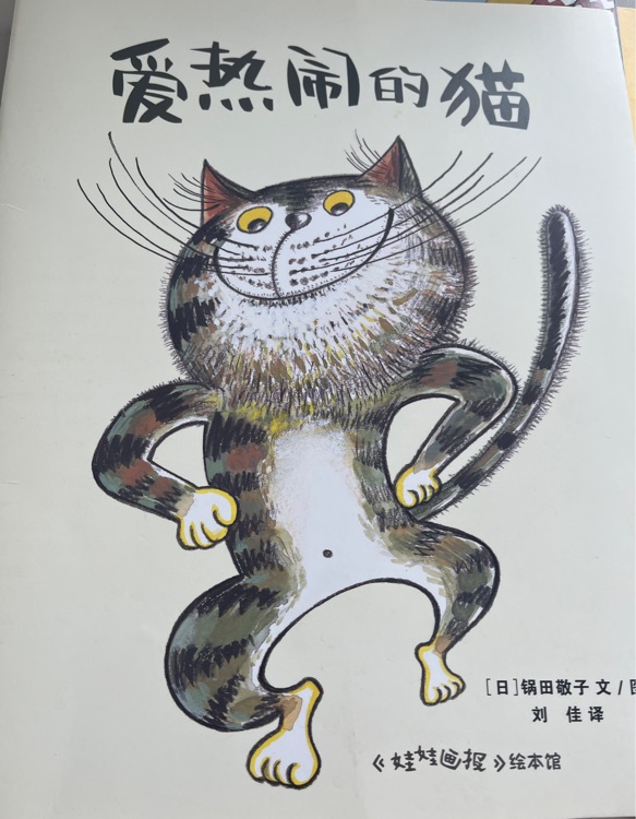 愛熱鬧的貓