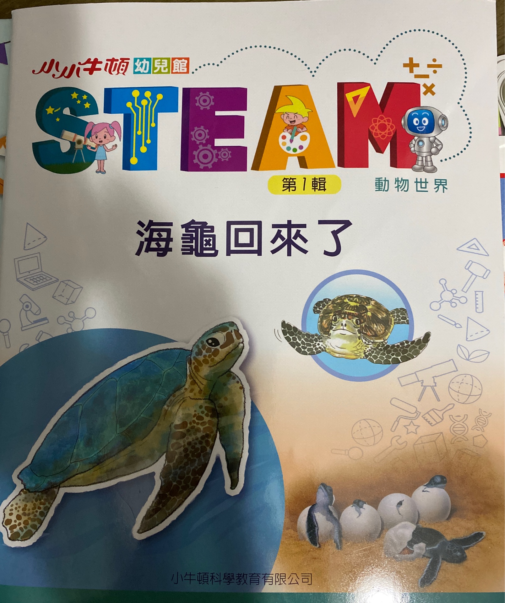 小小牛頓幼兒館海龜回來了