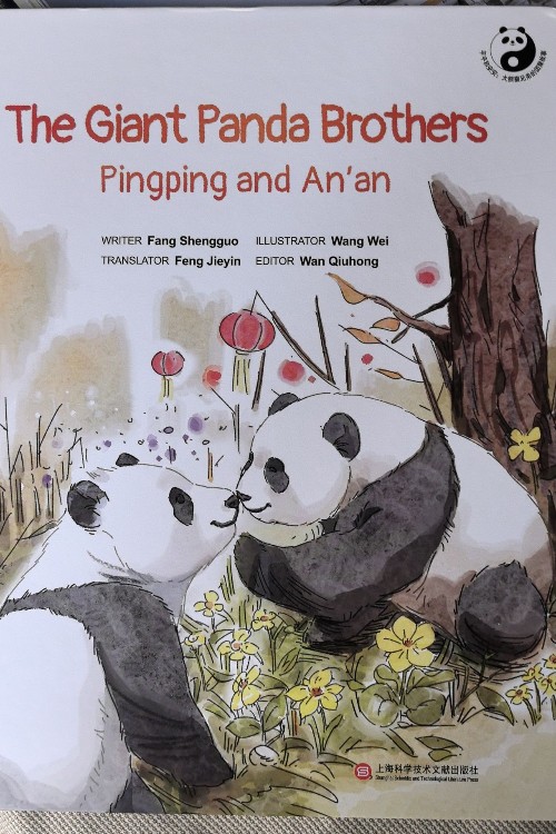 the giant panda brothers pingping and anan