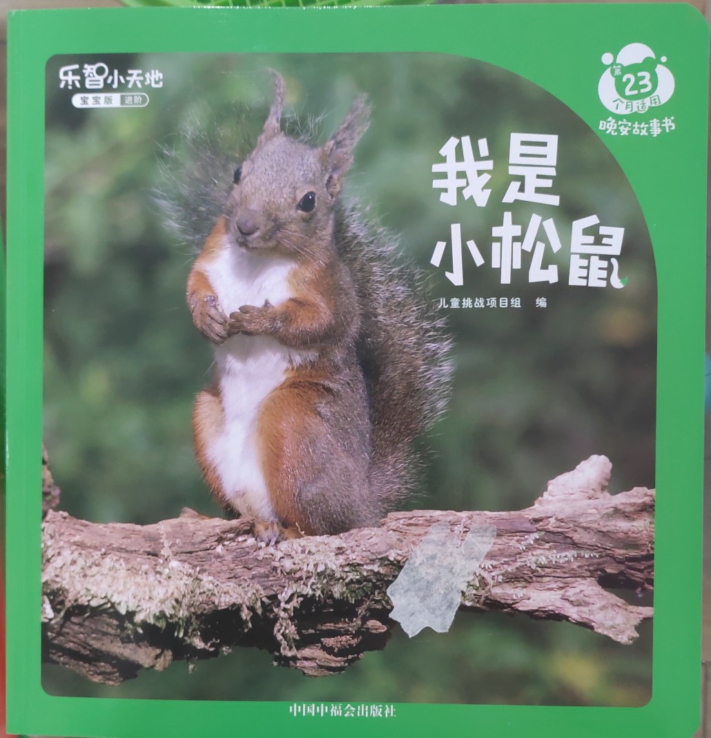 我是小松鼠