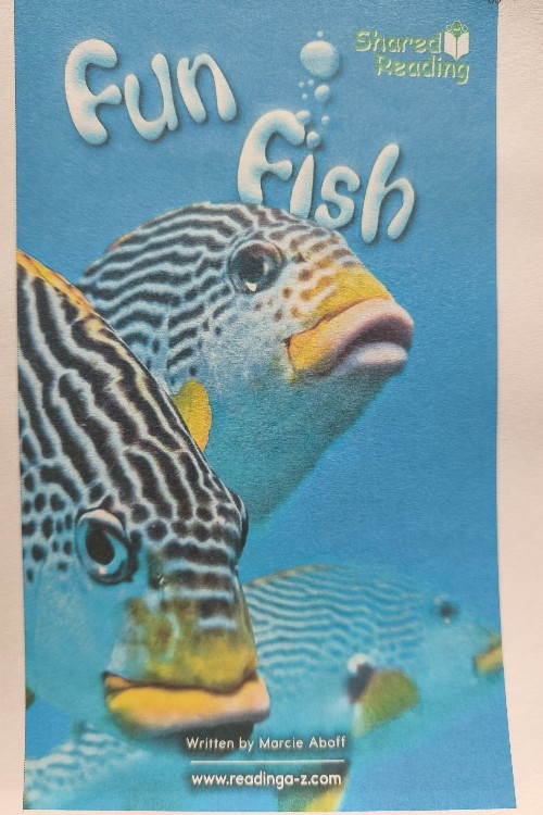 Fun fish