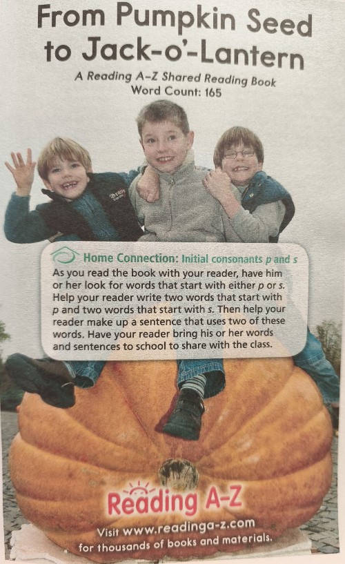 From pumpkin seed to jack o lantern