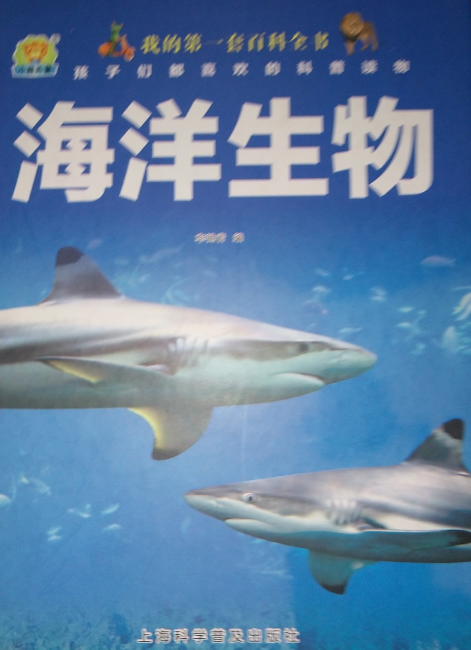 海洋生物