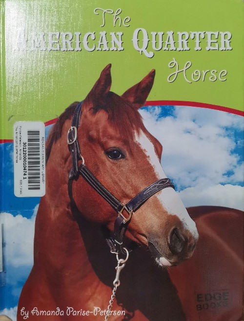 The American quarter Horse