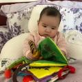 比兒