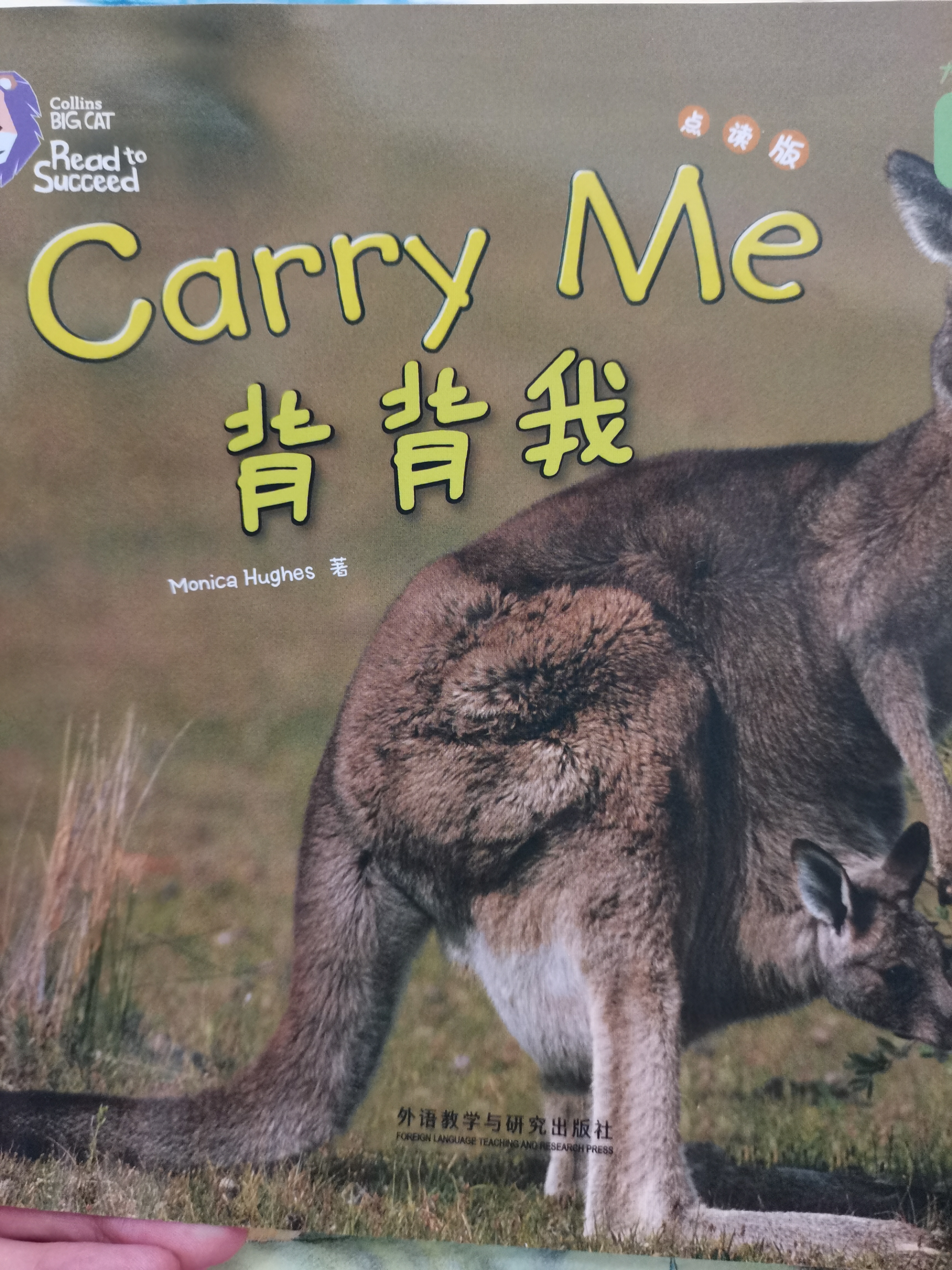 查看系列