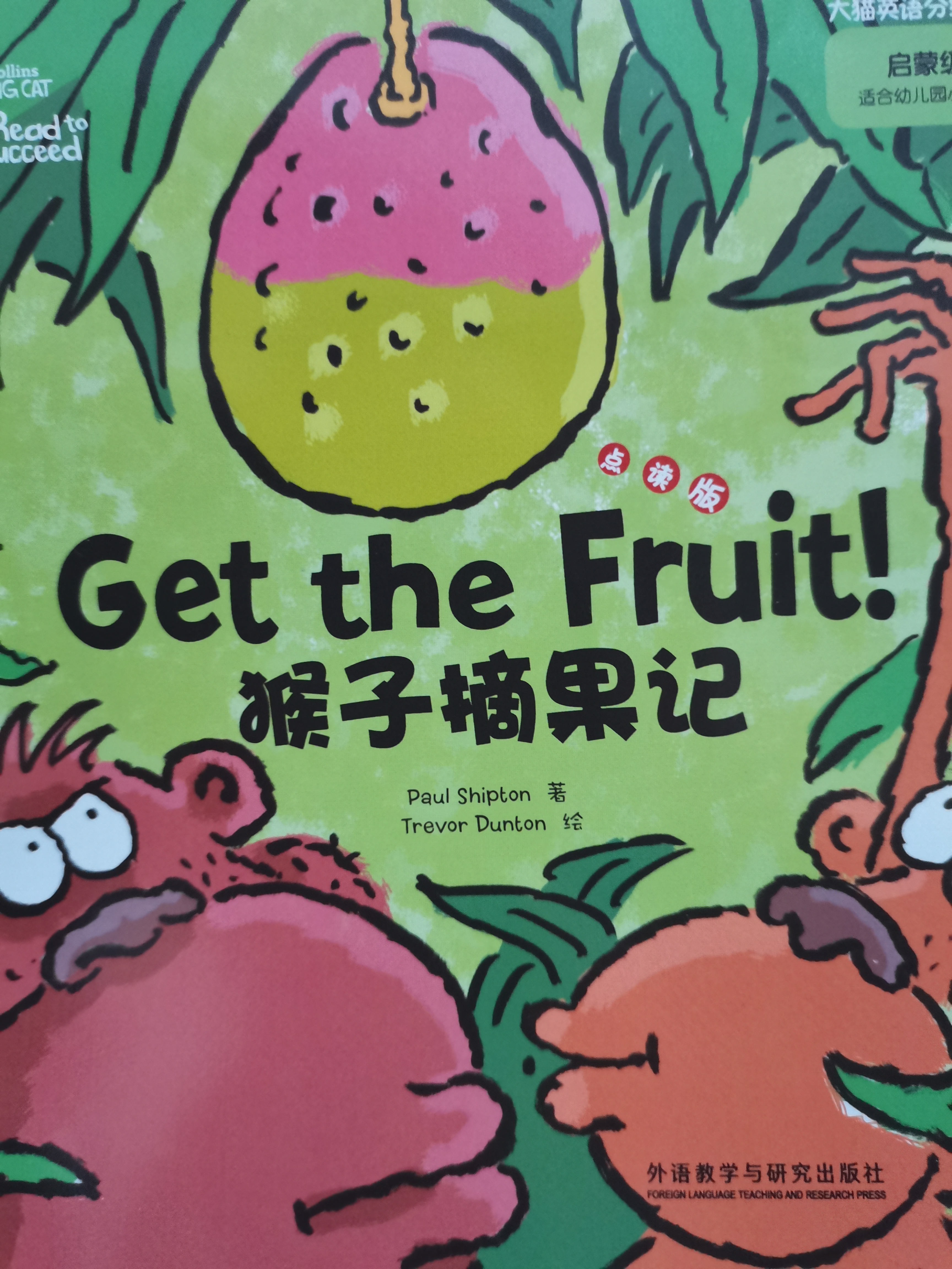 查看系列