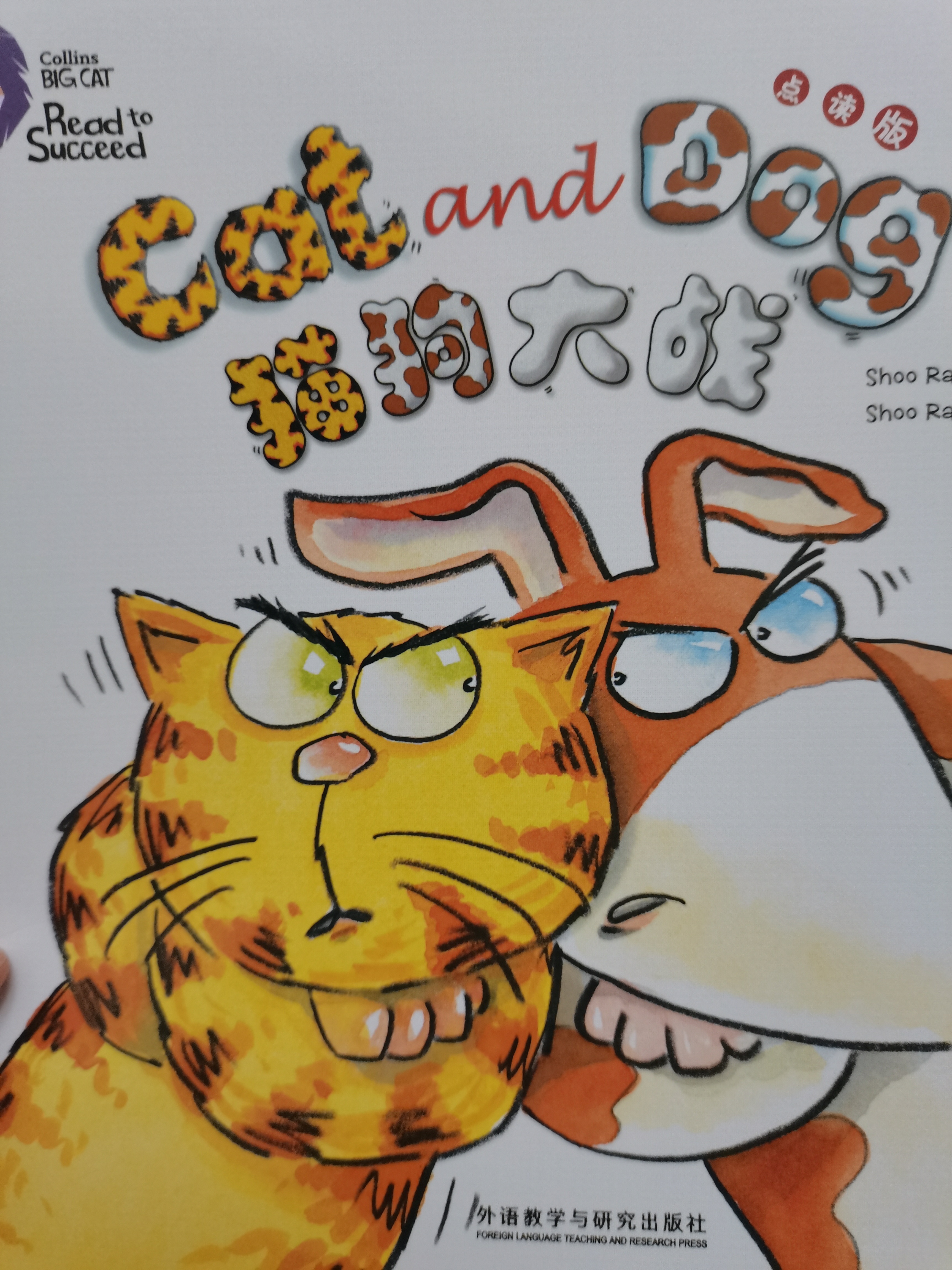 查看系列